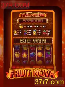Descubra o Fascinante Mundo de FruitNova